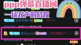 4虎国产视频网站,国产视频网站的崛起与影响