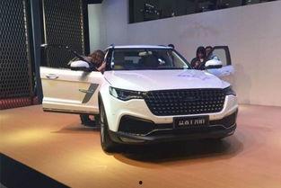 4虎国产视频网站,国产视频网站的崛起与影响