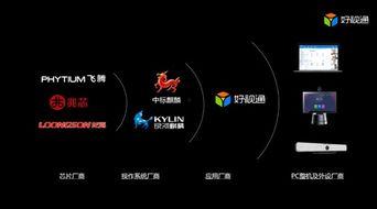 国产化视频产品,引领行业发展的创新之作