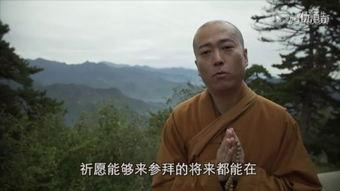 国产法师对比视频,技能与颜值的完美碰撞