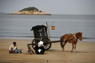 国产电影马车镜头视频,国产电影中的马车镜头，穿越时空的浪漫之旅