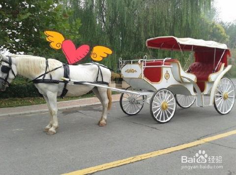 国产电影马车镜头视频,国产电影中的马车镜头，穿越时空的浪漫之旅