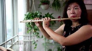 国产长笛安装视频大全集,视频大全集精华解析