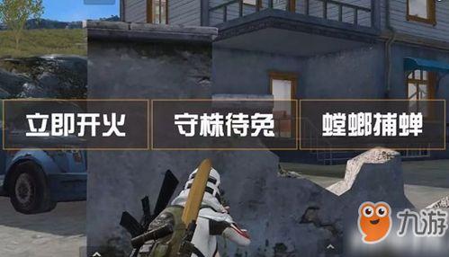 国产战术防弹墙视频,守护安全防线的高科技利器