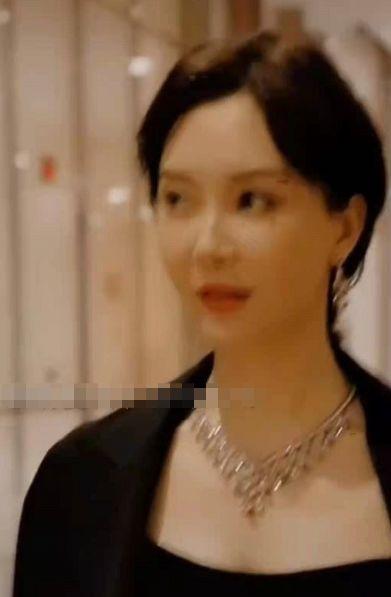 国产贵妇在线视频观看,奢华生活背后的秘密